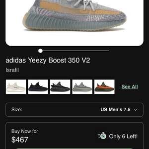 Adidas Yeezy Boost 350 V2 'Israfil' FZ5421